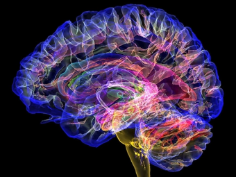 操BB视频大脑植入物有助于严重头部损伤恢复